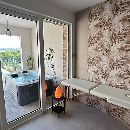 Modern With Swimming Pool And Wellness *