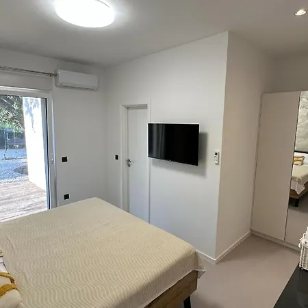 Modern With Swimming Pool And Wellness Seline